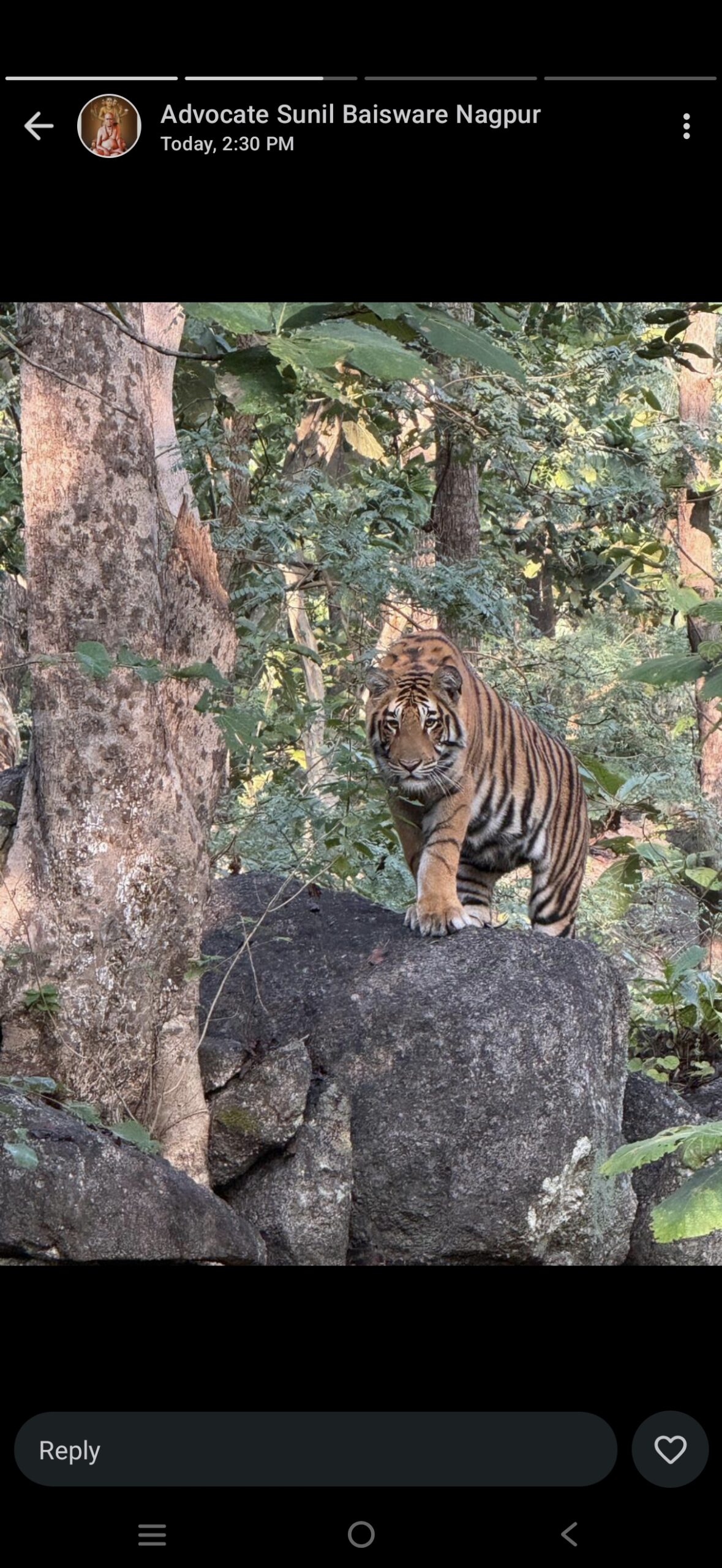 Screenshot_20251105_160917