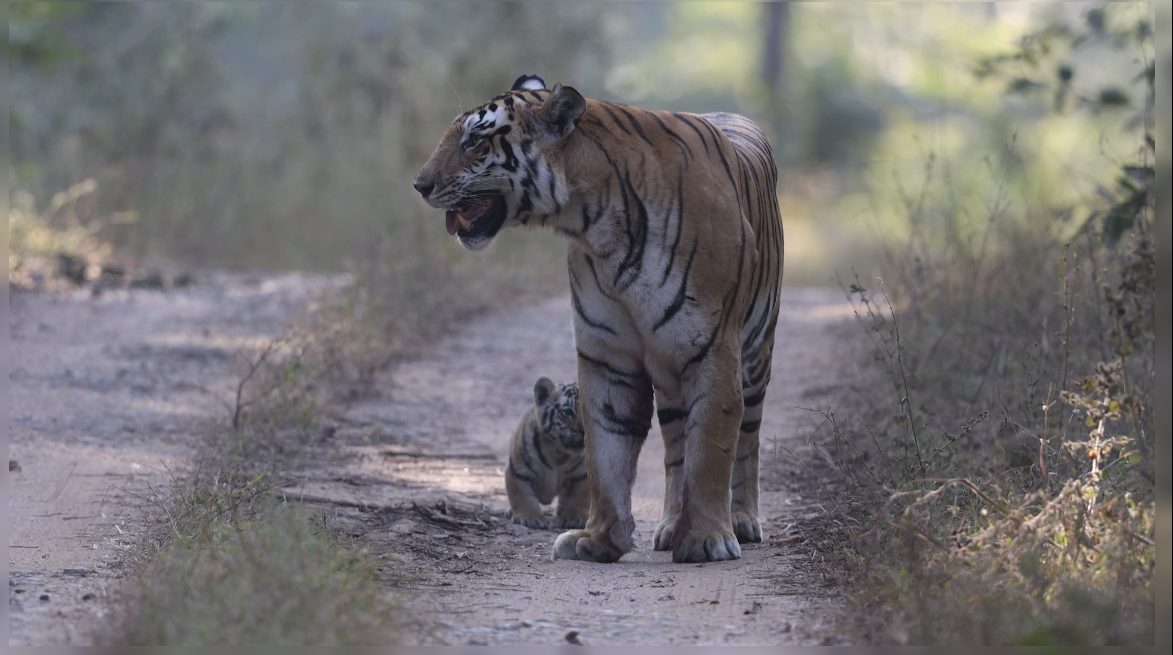 Screenshot_2025_1218_152836